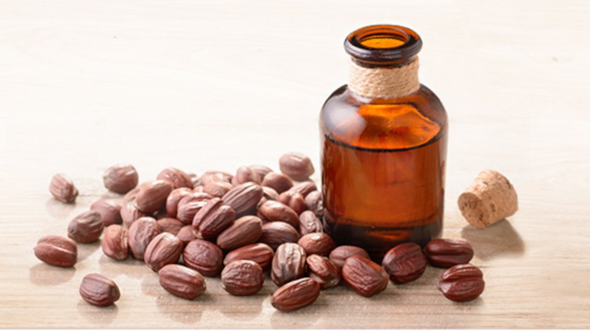 Jojoba
